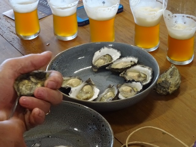 Oysters & Beer!